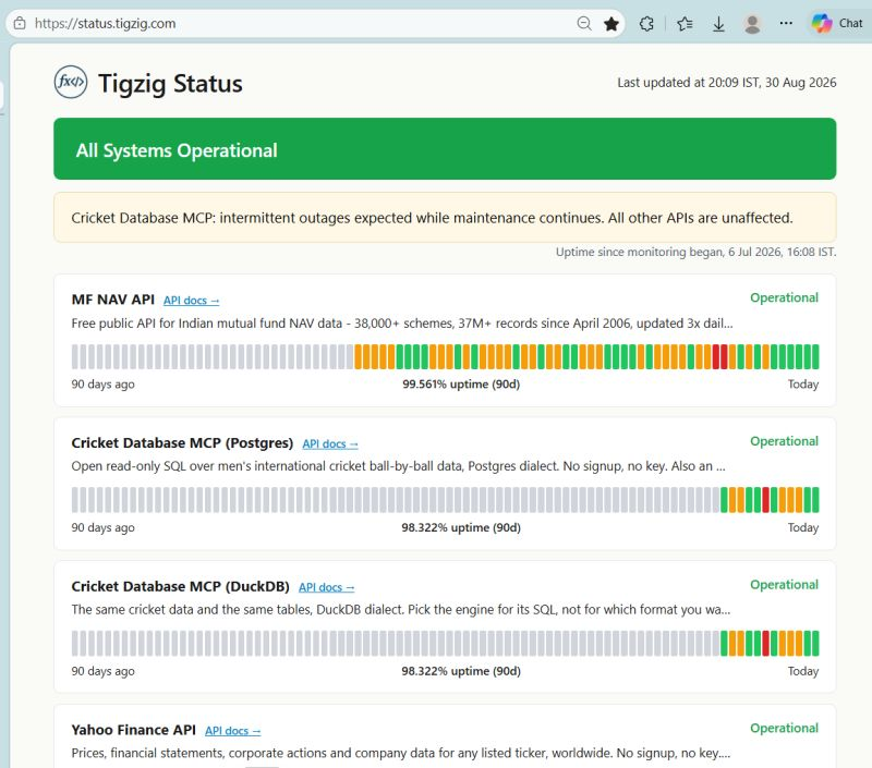 Getting Errors on the Tigzig APIs? Is It You, or Is It Me? Now You Can Just Go and Look.